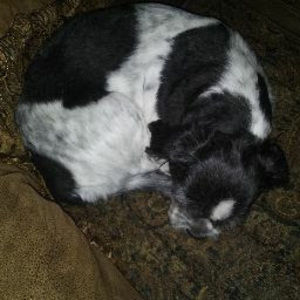 Meet your Posher, Byron